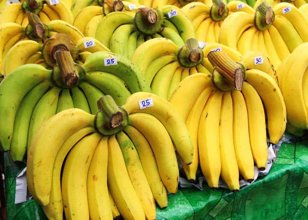 Nutrition of Banana - many bunches of bananas