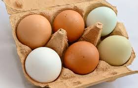 Food Rich in Calcium - Eggs