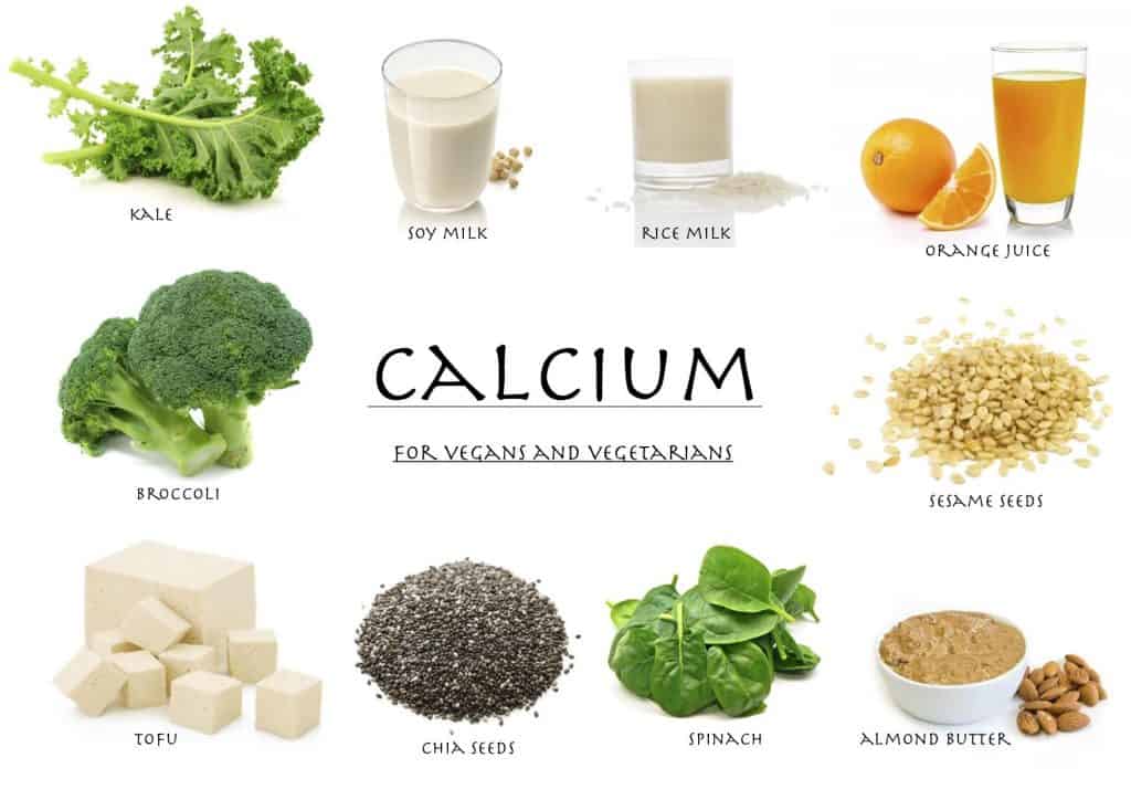 Food Rich in Calcium - Best Foods