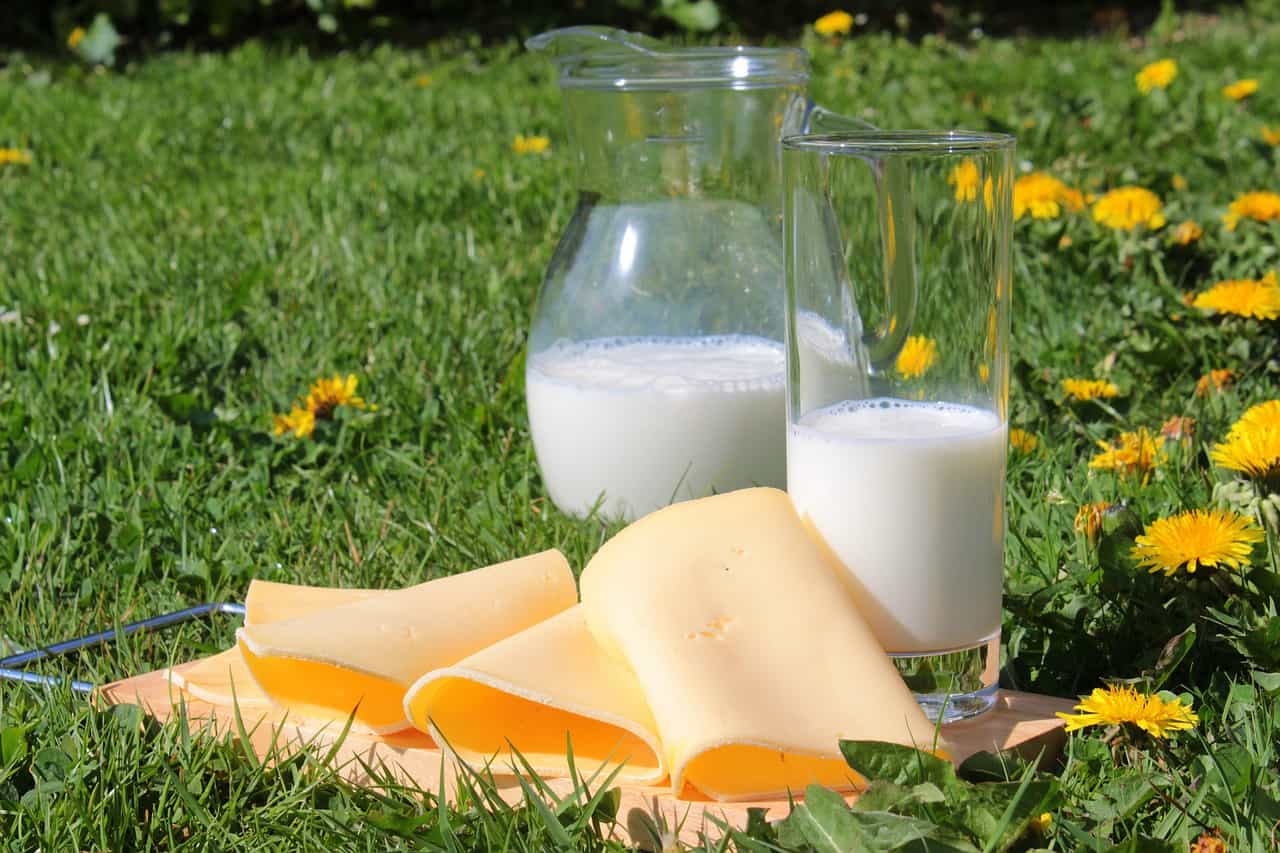 Calcium Rich Foods - Milk & Cheese