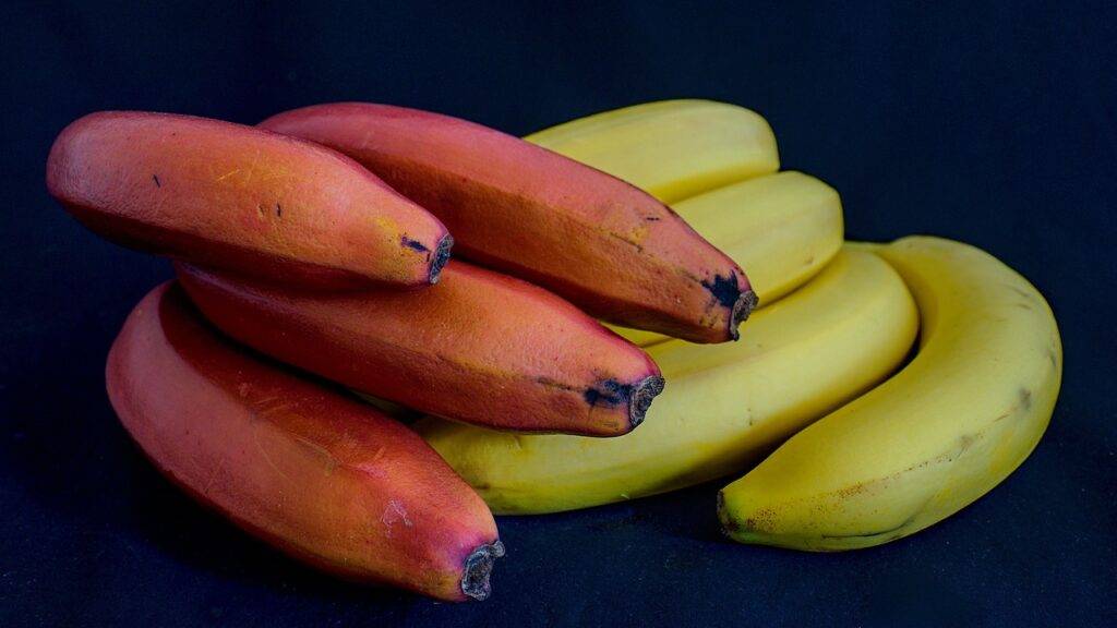 allperfecthealth: red-and-cavendish-bananas
