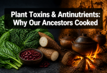 Photo of Plant Toxins, Antinutrients and Why Our Ancestors Cooked: The Complete Evidence-Based Guide