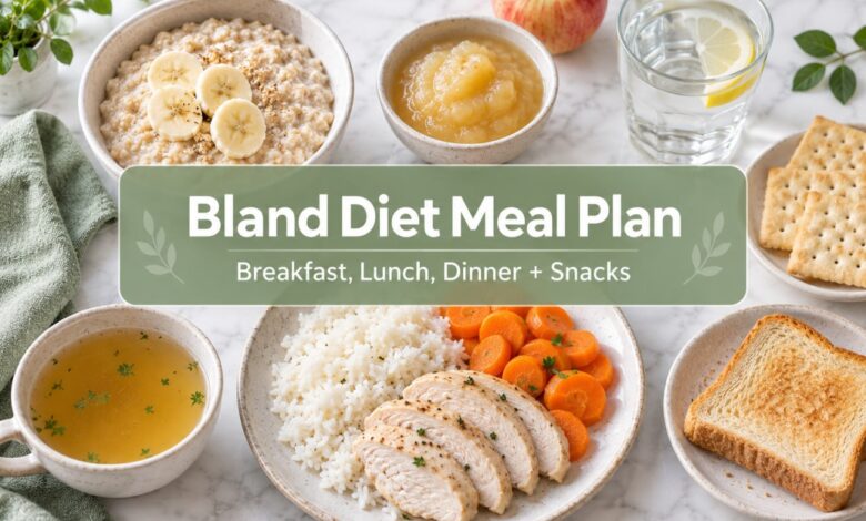 Bland diet meal plan with breakfast, lunch, dinner and snacks