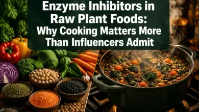 Photo of Enzyme Inhibitors in Raw Plant Foods: Why Cooking Matters More Than Influencers Admit