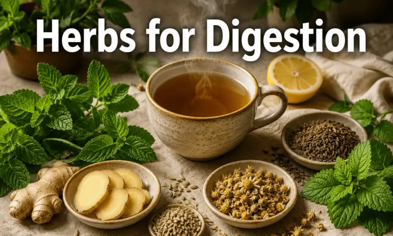 Herbs for Digestion: Natural Remedies for Bloating, Gas, and Gut Comfort